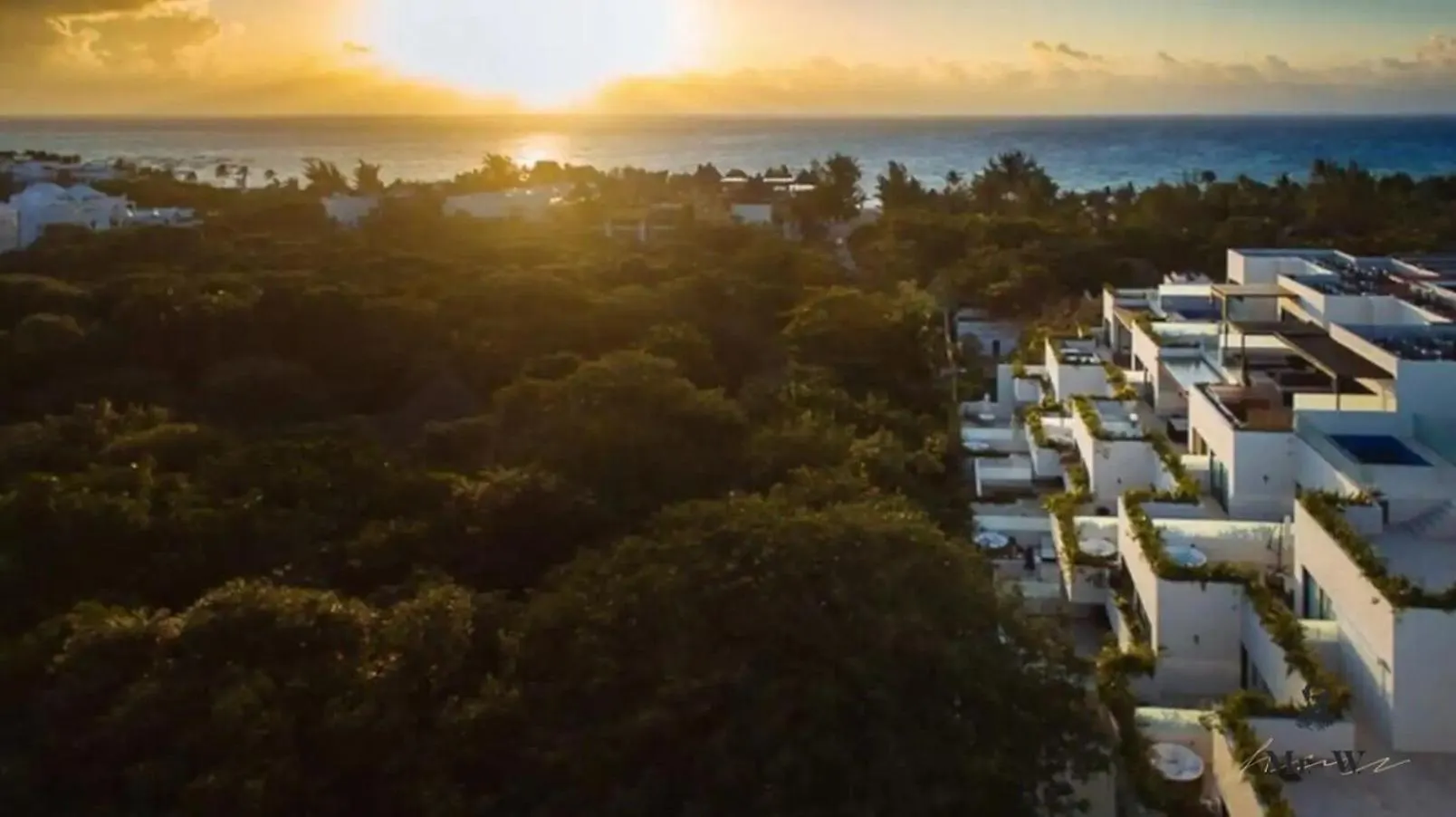 Oceanview Rooftop Pool Spa Tub Steps To Beach بلايا ديل كارمن شقة